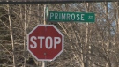 Police are investigating a robbery on Primrose Street that happened early Wednesday morning.  