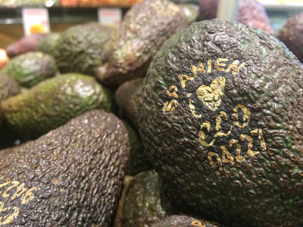 Laser branded avocados 