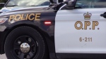 A southern Ontario man was killed early Monday morning in a head-on collision with a tractor-trailer on Highway 69 near Parry Sound. (File)