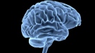 New researchers suggest Parkinson’s disease begins in either the brain or in the intestines.