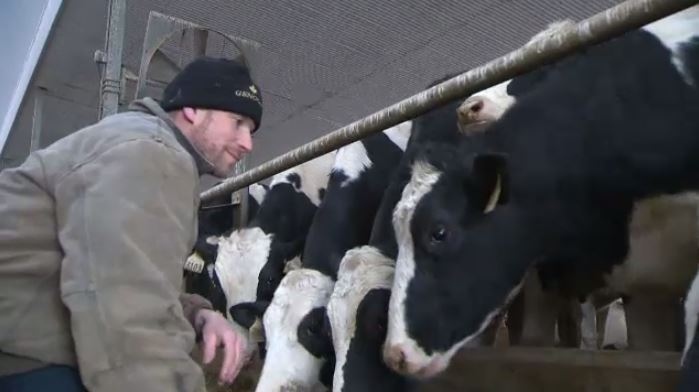 Ben Loewith dairy farmer