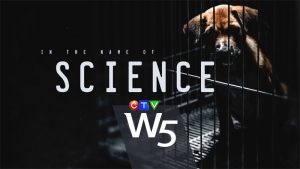 W5: In the Name of Science