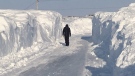A person walks down a plowed street, surrounded by snow walls, in Churchill, Man., on Saturday, March 11, 2017. (THE CANADIAN PRESS/HO-Shane Hutchins)