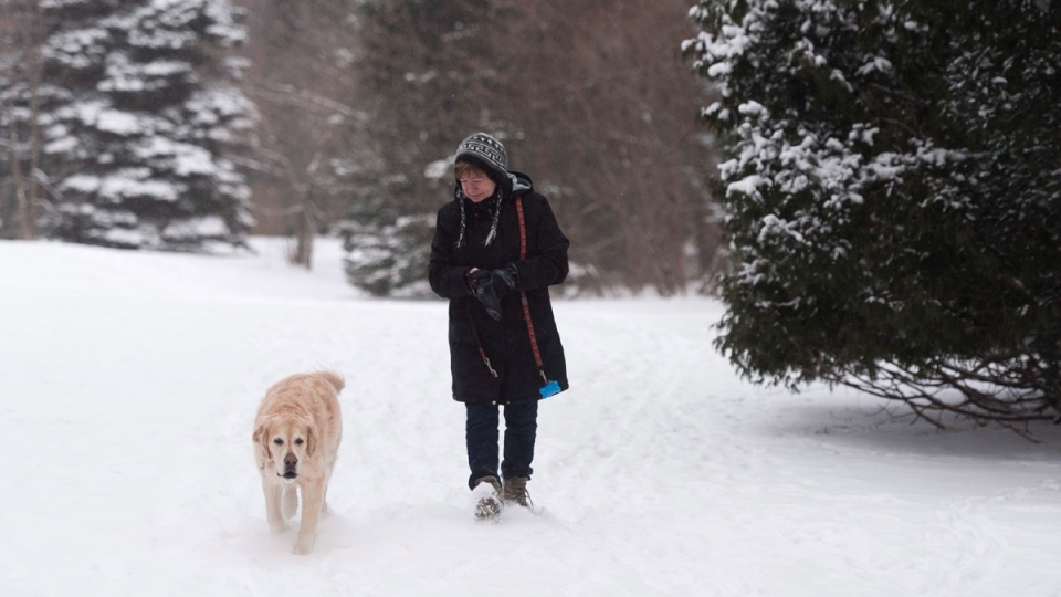 Winter storm settles into southern Ontario, stretches from Windsor to ...
