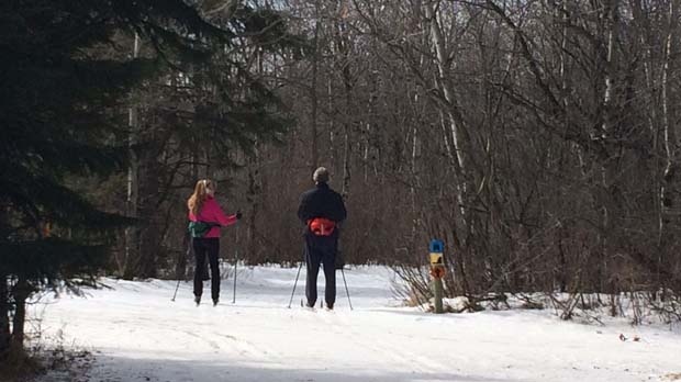 Changes coming to trail system at Birds Hill Provincial Park - CTV News