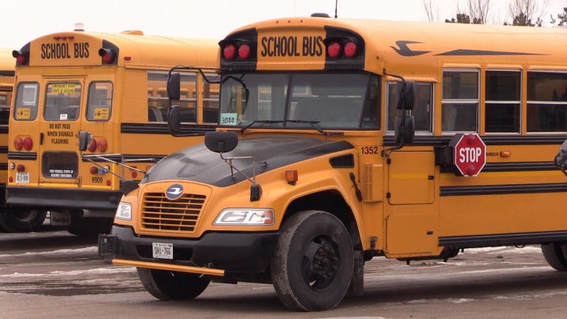 School buses can be seen in this undated photo. (CTV Barrie)