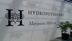 Hydropothecary is Quebec's only licensed producer of medical marijuana. 

