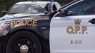 OPP charged the same London man with driving while under suspension twice within a 22-day period in February and March of 2017.