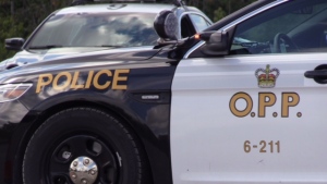 OPP charged the same London man with driving while under suspension twice within a 22-day period in February and March of 2017.