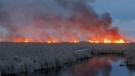 Flames could be seen from kilometres away as a marsh fire burned at Point Pelee National Park on Wednesday, March 29, 2017. (Courtesy Alan Antoniuk) 