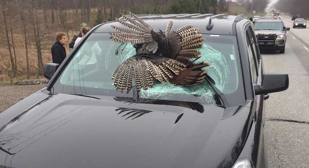 Turkey through windshield