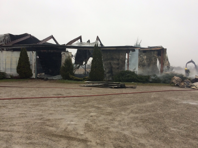 Middlesex Centre fire crews were able to save one horse from a barn blaze on Decker Drive near Lambeth. Five others perish in the fire on Friday, March 31, 2017.
(Sean Irvine / CTV London) 