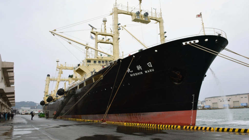 Japanese whaling vessel Nisshin Maru