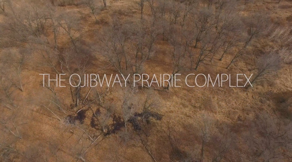 Ojibway video