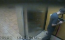 Video surveillance captured a man abusing a small dog in Windsor. 