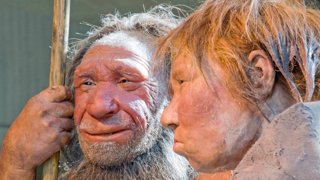 Neanderthal museum