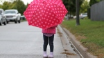 A child holds an umbrella on a rainy day. (CTV News)
