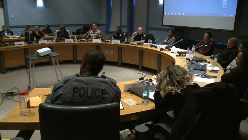 A meeting of the Community and Police Action Committee at Ottawa City Hall, Aprils 6, 2107