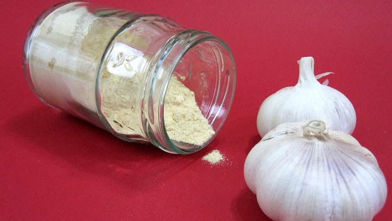 Garlic powder food fraud
