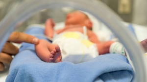A newborn in shown in a neonatal incubator in this file photo. (Pixelistanbul / Istock.com)