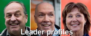 Leader profiles