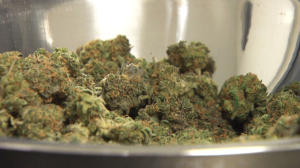 How much pot do you smoke? StatsCan wants to know | CTV News