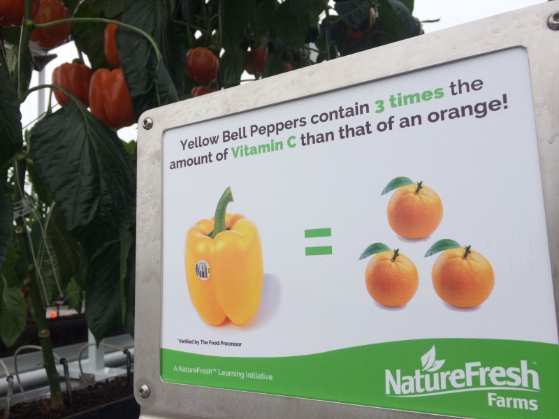 NatureFresh Farms launches mobile Greenhouse Education Center on Thursday, April 20, 2017. (Michelle Maluske / CTV Windsor)