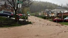 Dundas, Ont. has been hit by flash flooding along the Niagara escarpment due to heavy rains. (Rebuild Hamilton/Twitter)