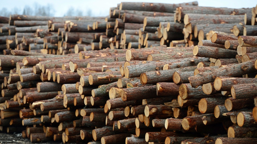 Softwood lumber in Madawaska, Ontario