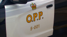 An OPP cruiser is seen in this file photo.
