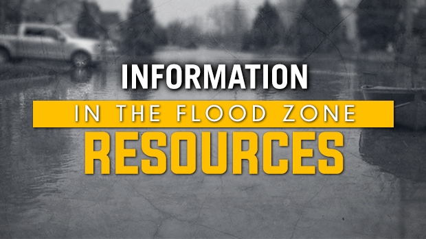 In The Flood Zone: Resources