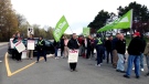 Hundreds of Toronto Zoo employees walked off the job on May 11, 2017 after they were unable to reach a tentative contract by the midnight strike deadline. (Cam Woolley/CP24) 