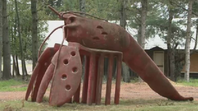 The once popular tourist attraction Animal Land has been closed for more than two decades ago, but this summer it's making a comeback.