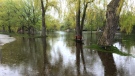 Centreville on Toronto Island is one of many areas affected by flooding. (Danny Pinto/CTV News Toronto)