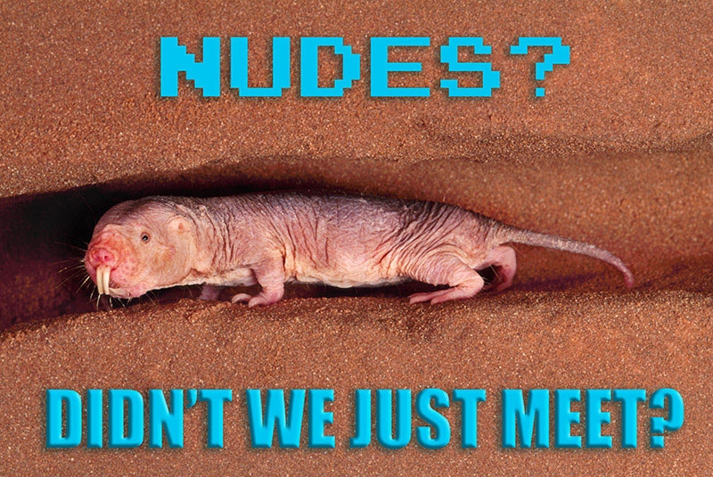 Group tells boys to send naked mole rat memes instead of nude pics.