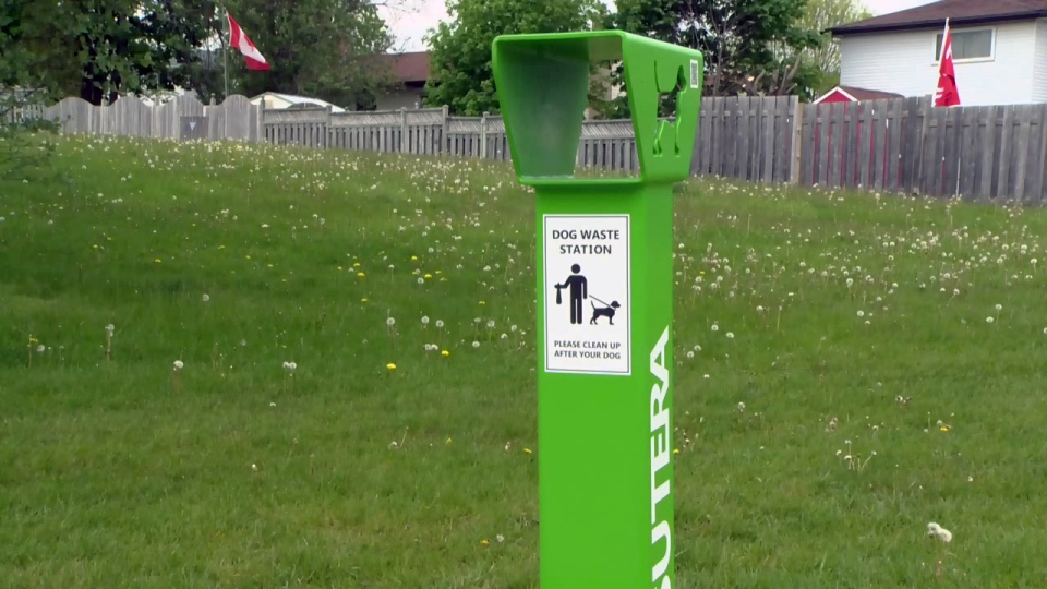 Dog waste receptacle