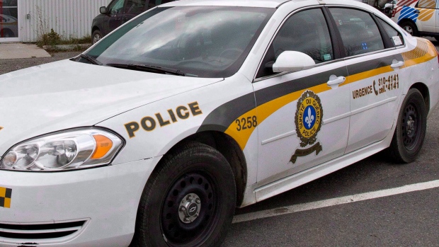 Boy dead after west Quebec crash involving moose - CTV News