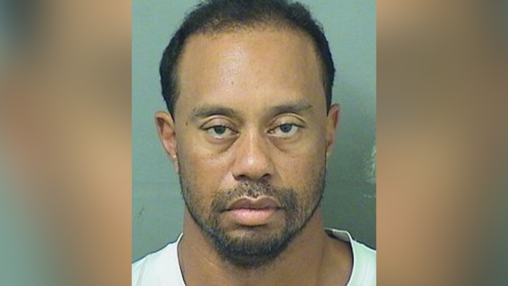 Tiger Woods booking photo