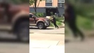 A pickup truck is seen in this video driving forward as a protester attempts to stop the vehicle. 