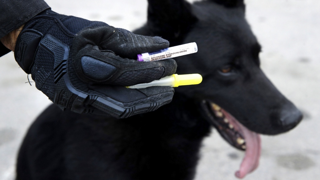 Police packing naloxone to help dogs