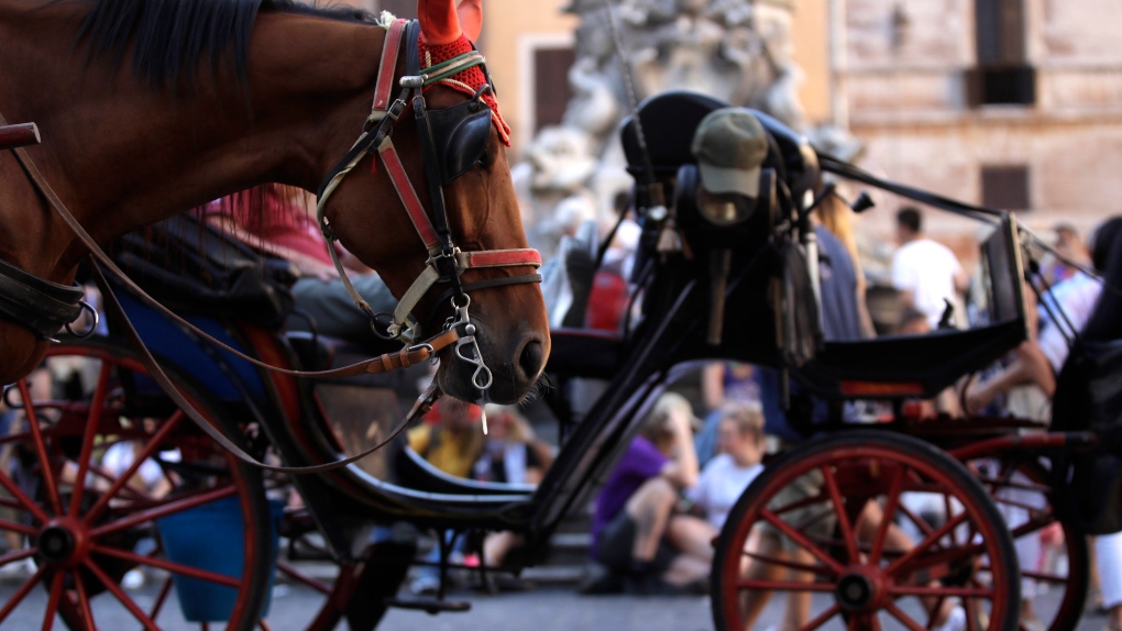 Horse-drawn carriages in Rome 
