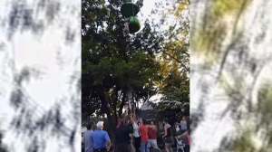 In this June 24, 2017, image made from a video provided by Leeann Winchell, a 14-year-old girl falls from an amusement park ride at Six Flags Great Escape Amusement Park in Queensbury, N.Y. After she lost her grip on the slow-moving gondola ride Saturday she fell into a crowd of park guests and employees gathered under the ride to catch her before she hit the ground. (Source: Leeann Winchell via AP)