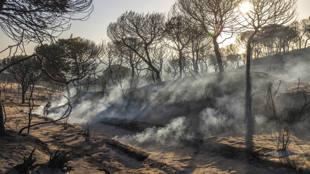 Fire near Spanish national park under control