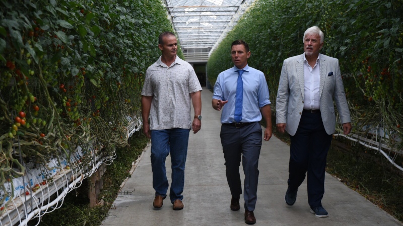 Owner of Cecelia Acres Chip Stockwell, Ontario PC Leader Patrick Brown and MPP Rick Nicholls in Kingsville, Ont., on Monday, July 10, 2017. (Courtesy Nicholas Bergamini)