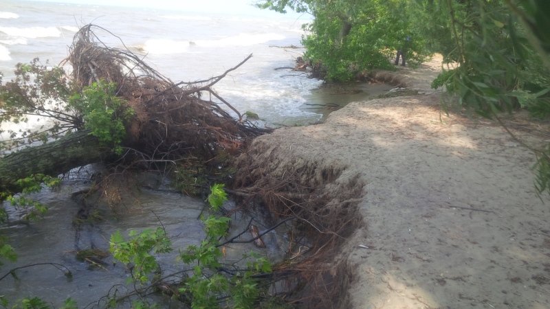 Significant erosion to the shoreline at Holiday Beach in Amherstburg, Ont., July 12, 2017. (Courtesy ERCA)  