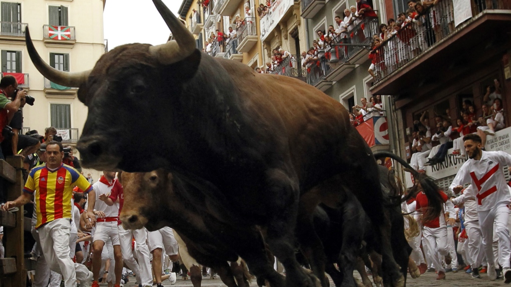 Running of the bulls in Spain