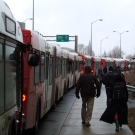 OC Transpo buses were backed up as a result of the Tamil protest, Tuesday, April 7, 2009. Viewer photo submitted by Ian Gallagher 