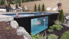 Shipping container pools