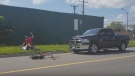 Image from YouTube video of a 65-year-old pickup truck driver repeatedly hitting elderly cyclist with a small club. (Lance Anderson/YouTube)