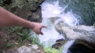 A person points to a popular swimming spot at Twin Falls, in Lynn Canyon Park, in North Vancouver, B.C.